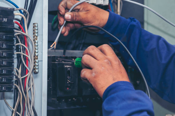 Best Electrical System Inspection  in Bowdon, GA